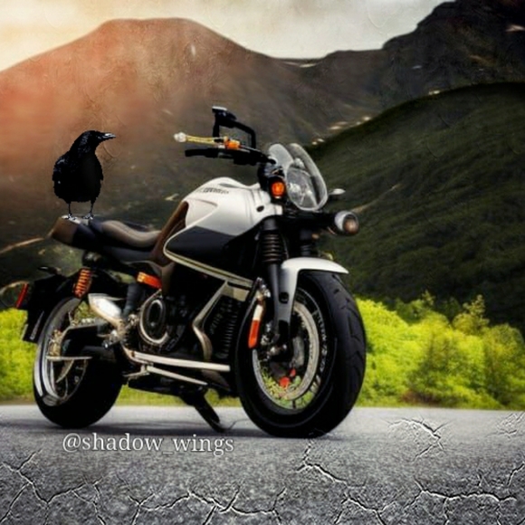 GAP Navy Uniform Moto Jacket Size Small - Picture 13 of 13